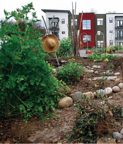 Freemont Garden
