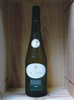 Muscadet