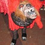 wolf wolf